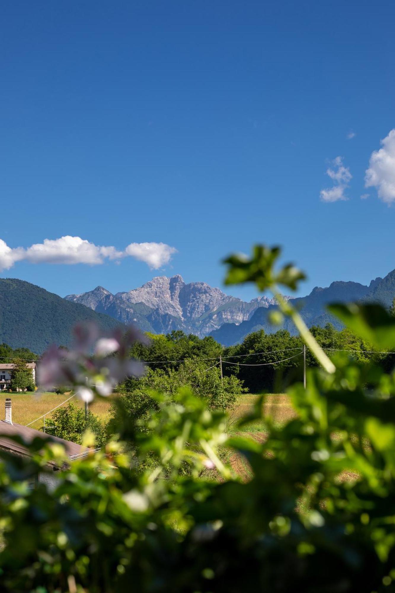 Hotel Ristorante Sagittario Feltre Eksteriør bilde